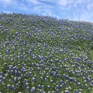 Meet your Posher, Kendall